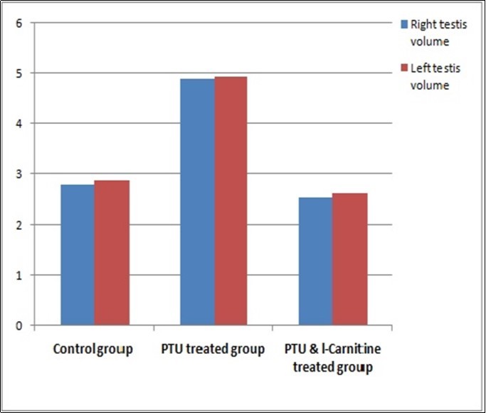  Bar chart showing right and left testes volume in studied groups