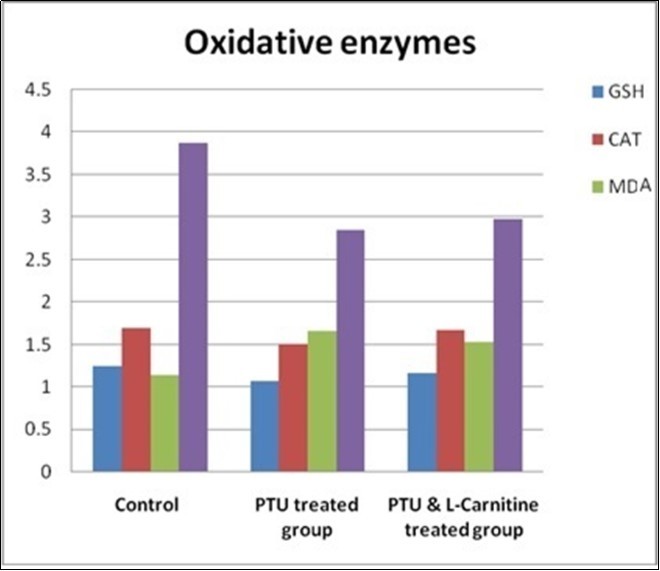  Bar chart showing oxidative enzymes in studied groups