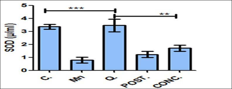  Concentration of SOD (µ/ml) in the brain tissue homogenate. Activities of superoxide dismutase were significantly increased by quercetin treated mice when compared with other experimental groups. Control (C); Manganese (Mn); Quercetin (Q); Intervention (POST); Concurrent (CONC); Superoxide Dismutase (SOD) **P<0.01, ***P< 0.001.