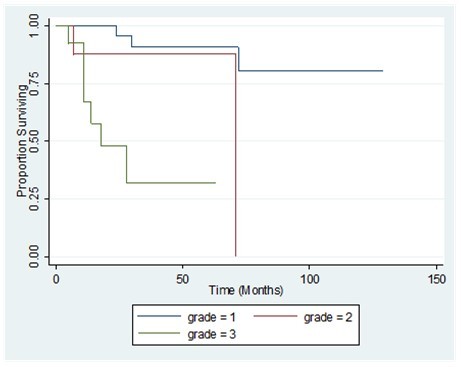  Comparison of the overall survival by tumor grade of patients with primary breast sarcoma in the Philippine General Hospital from 2000-2010