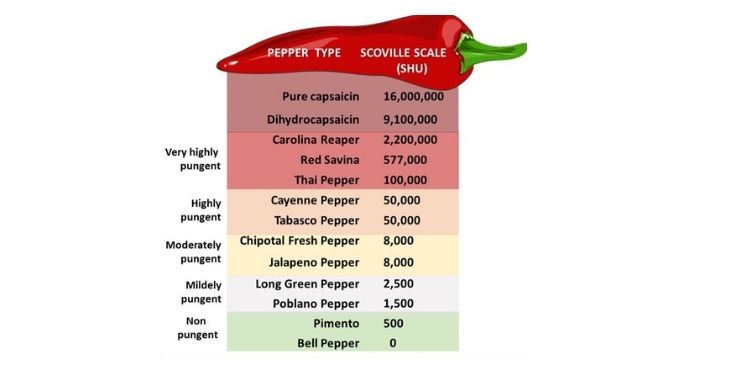 Journal of Digestive Disorders And Diagnosis-Capsaicin