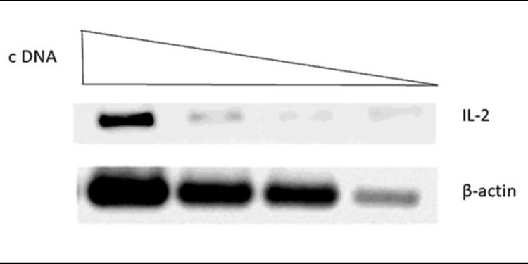 Journal of Veterinary Healthcare-Tuberculosis