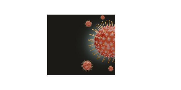 International Journal of Negative Results-measles virus